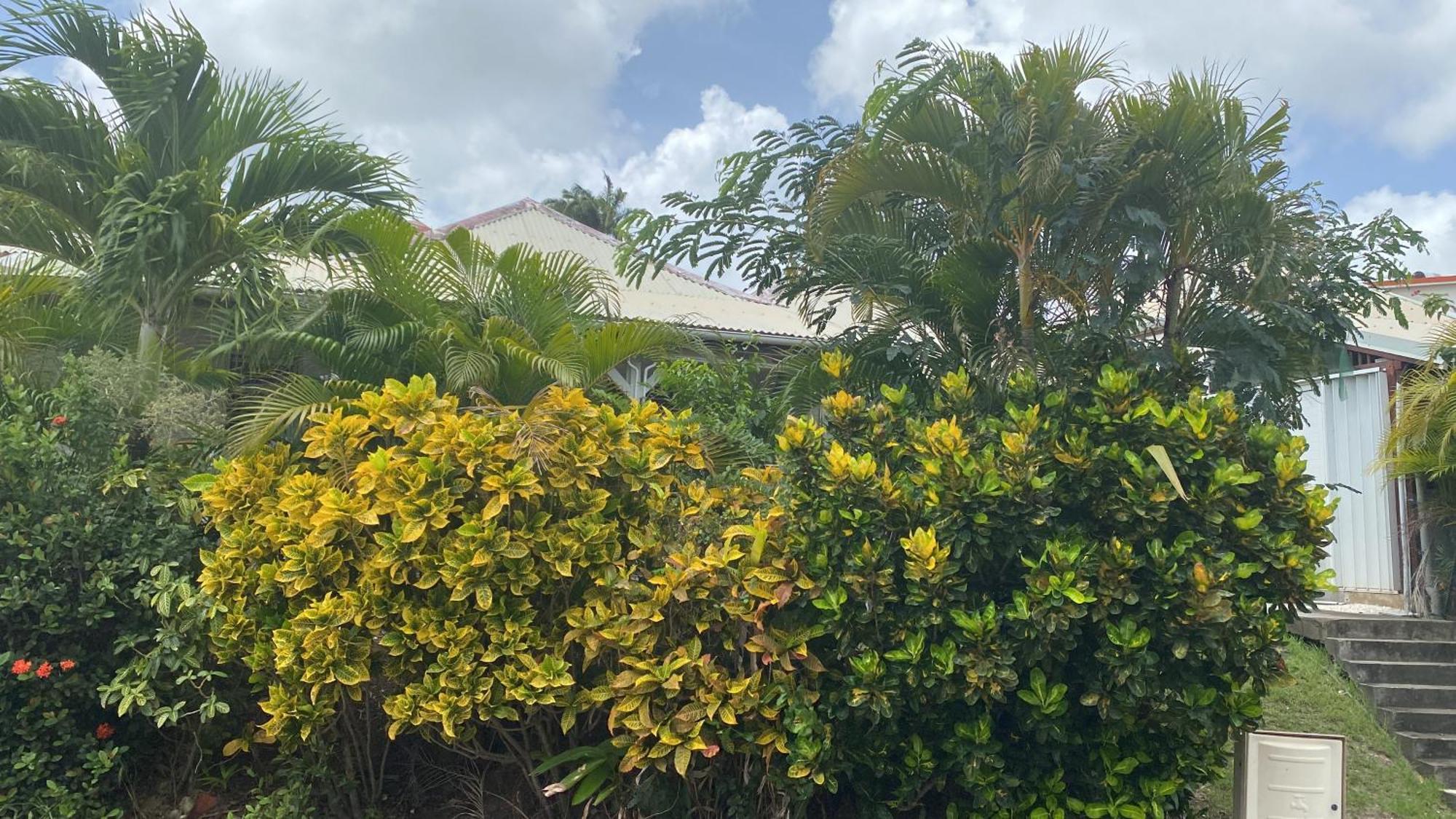 Bungalow Belfond Plage Pointe Marin 圣安娜 外观 照片